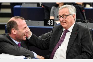 weber_i_junker