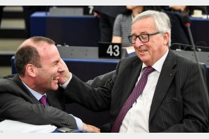 weber_i_junker